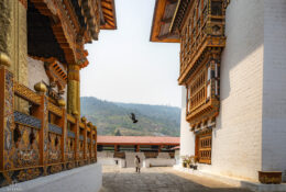 Bhutan_2025 (25/79)